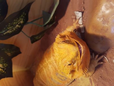 7172ff78028b994b6fcb3b5a0f8bbc31_1764241208_041.jpg 7172ff78028b994b6fcb3b5a0f8bbc31_1764241208_041.jpg