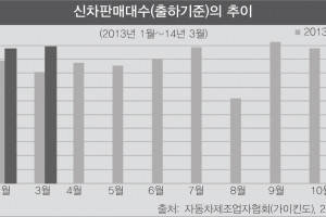 <명암 엇갈린 '5대 취약국'>